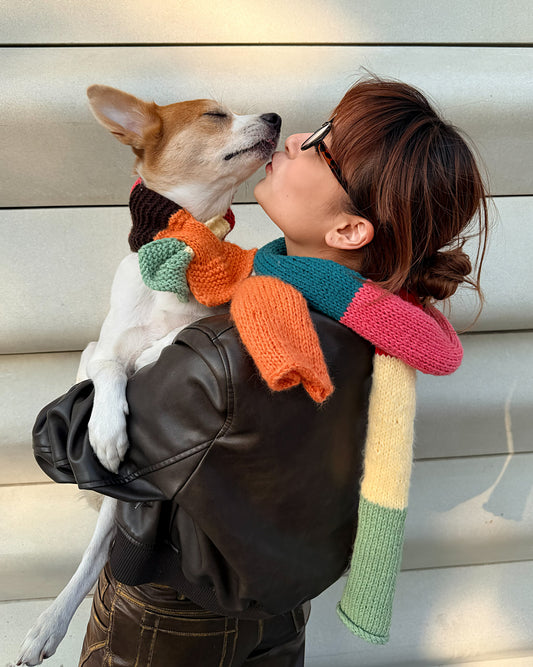 ✨Matching Pet & Owner Skinny Knit Scarves — Handmade Candy Patch(100% Premium Cashmere)