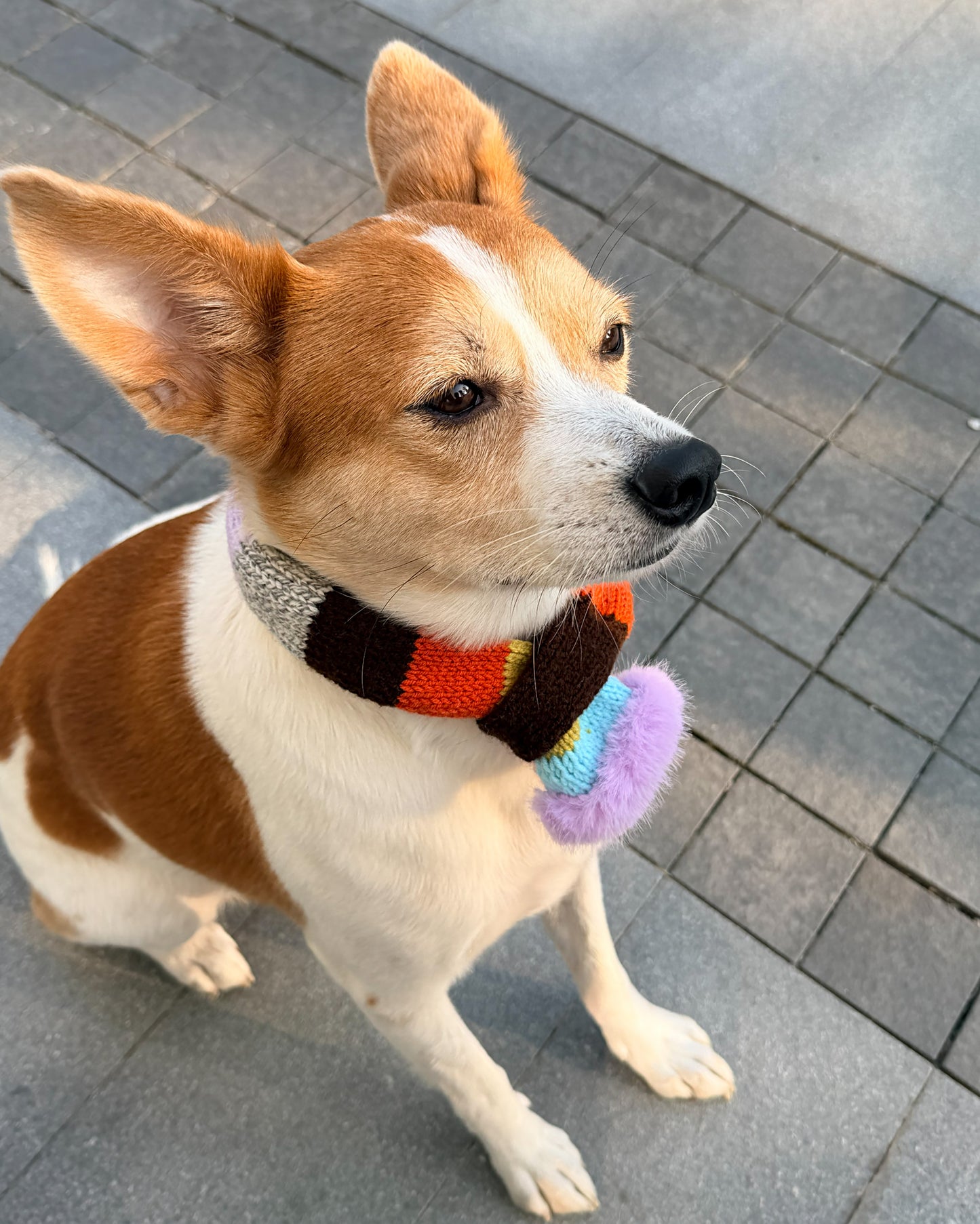✨Skinny Knit Pet Scarf – Handmade Caramel Stripe(100% Premium Cashmere)