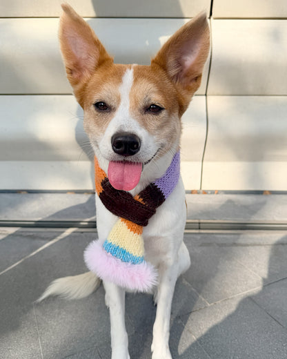 ✨Matching Pet & Owner Skinny Knit Scarves — Handmade Autumn Stripe(Mohair blend)