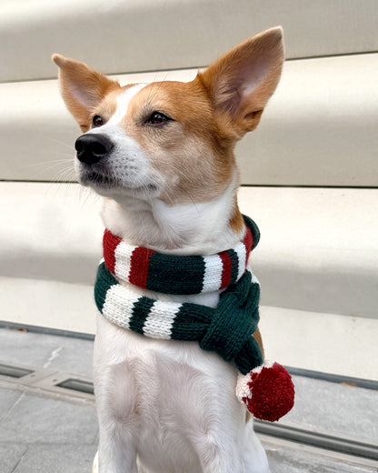 ✨ Skinny Knit Pet Scarf – Handmade Christmas(100% Premium Cashmere)