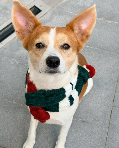✨ Skinny Knit Pet Scarf – Handmade Christmas(100% Premium Cashmere)