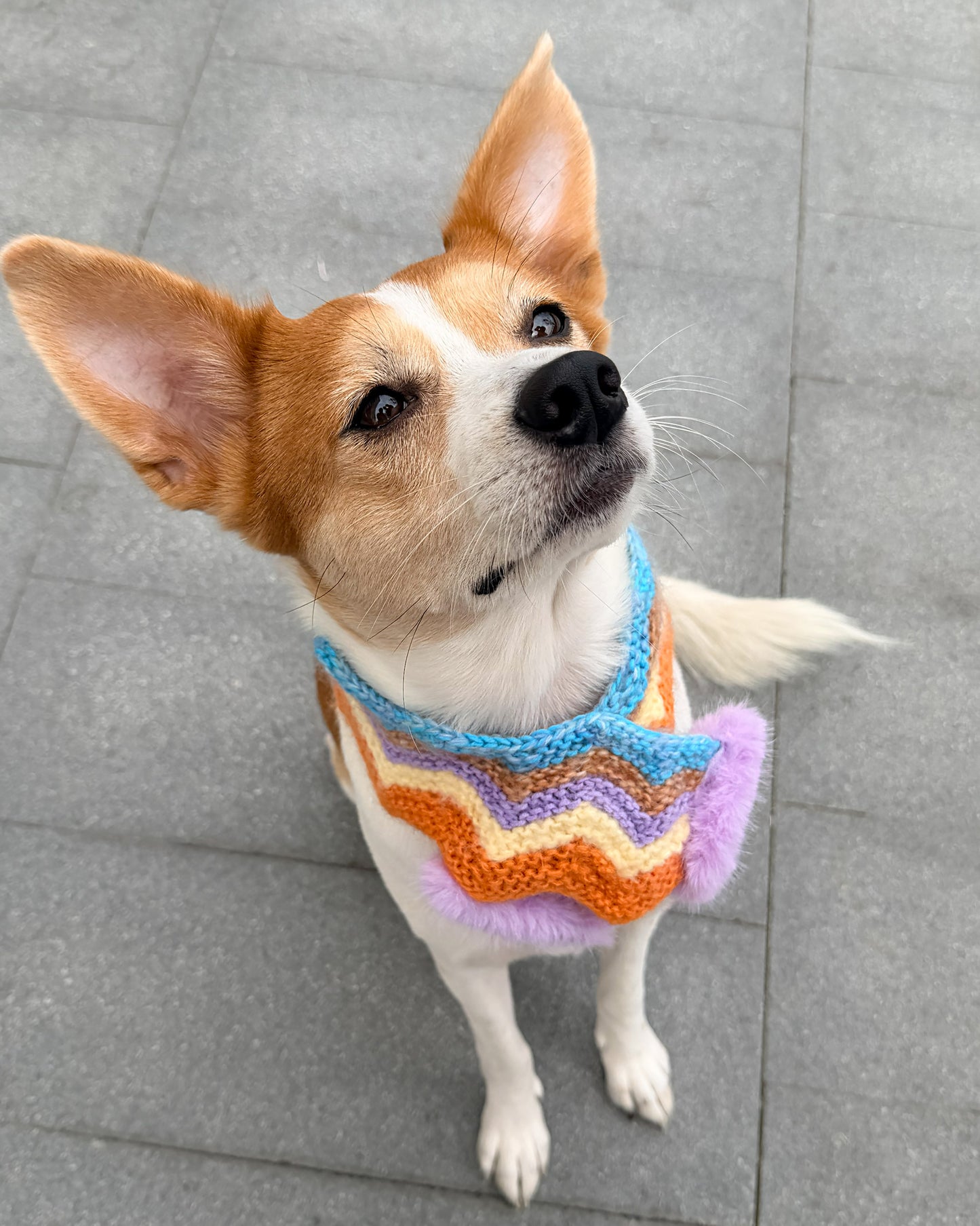 ✨Wave Knit Pet Scarf – Handmade Cocoa Sunset(Mohair blend)