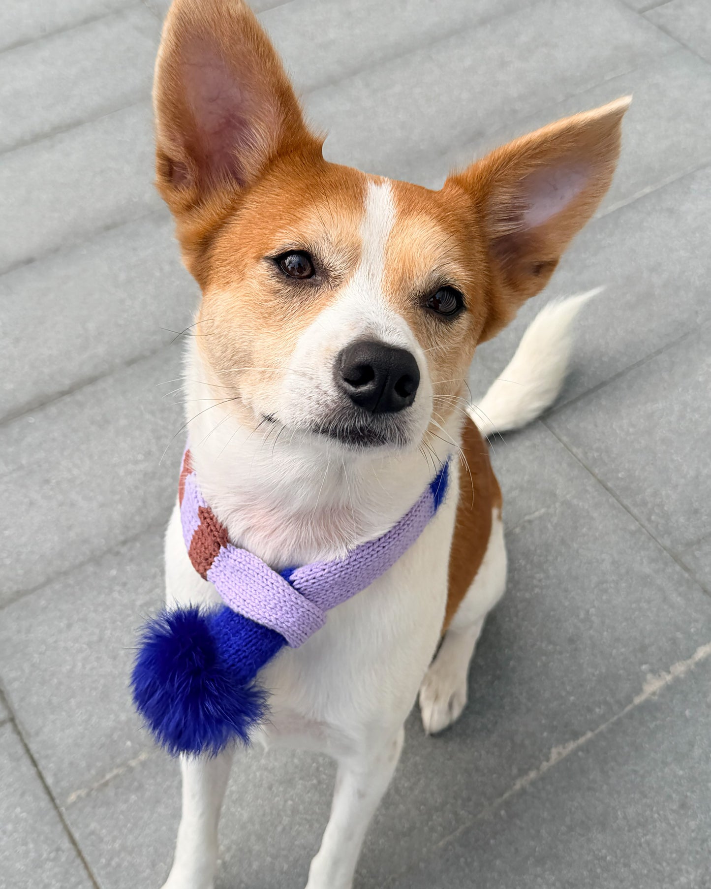✨Matching Pet & Owner Skinny Knit Scarves — Handmade Lavender Stripe(100% Premium Cashmere)