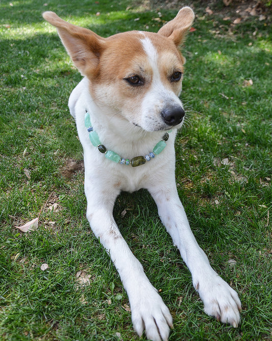 ✨Pet Jewelry –  Handcrafted Bold Beaded Necklaces - Candy Crush（Mint Green）