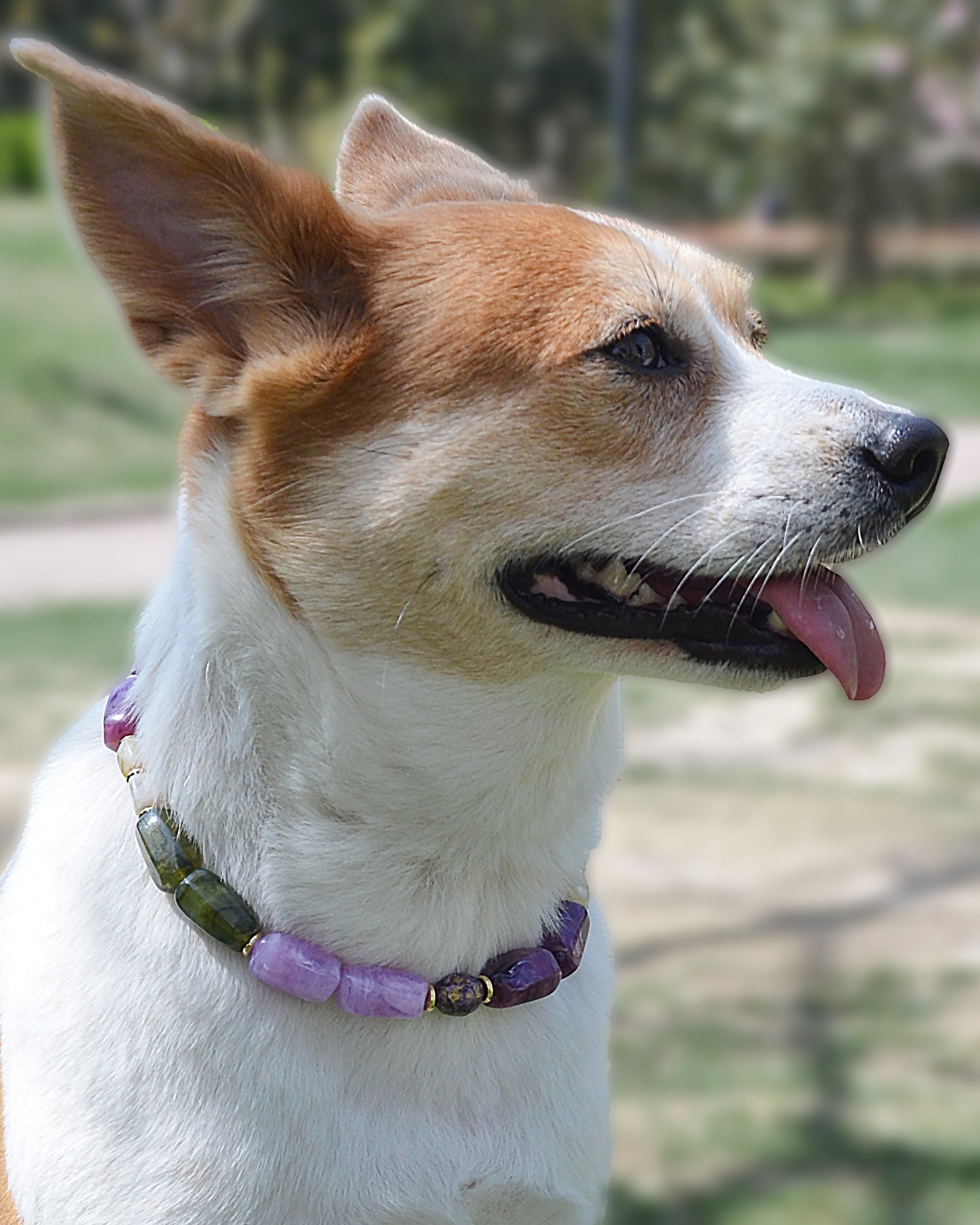 ✨Pet Jewelry –  Handcrafted Bold Beaded Necklaces - Candy Crush（Velvet Purple）