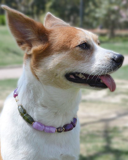 ✨Pet Jewelry –  Handcrafted Bold Beaded Necklaces - Candy Crush（Velvet Purple）