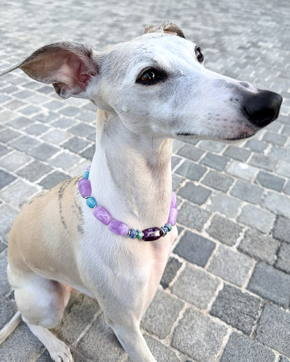 ✨Matching Pet & Owner Jewelry Sets –  Handcrafted Bold Beaded Necklaces - Candy Crush（Violet Haze）