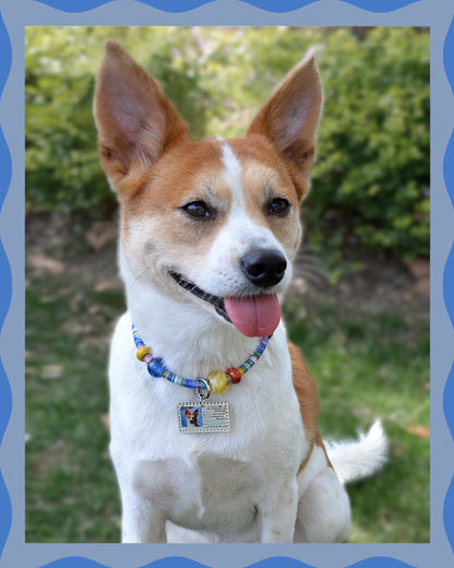 ✨Pet Jewelry – Handcrafted Vibrant Cord Necklaces – Cord Craze (Blue)