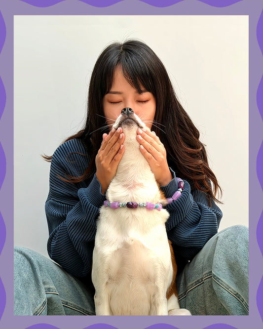 ✨Pet Jewelry –  Handcrafted Bold Beaded Necklaces - Candy Crush（Violet Haze）