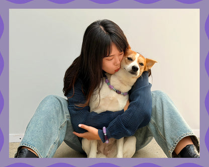 ✨Pet Jewelry –  Handcrafted Bold Beaded Necklaces - Candy Crush（Violet Haze）