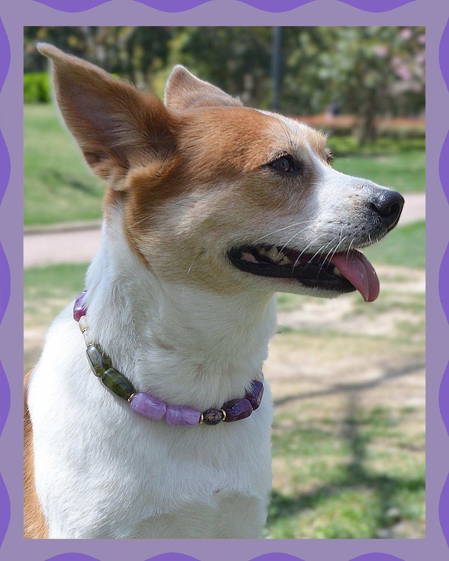 ✨Pet Jewelry –  Handcrafted Bold Beaded Necklaces - Candy Crush（Velvet Purple）