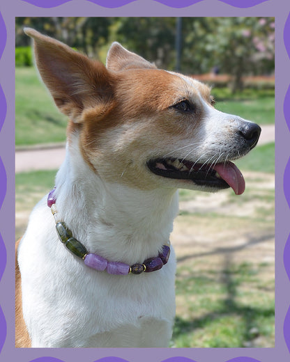 ✨Pet Jewelry –  Handcrafted Bold Beaded Necklaces - Candy Crush（Velvet Purple）