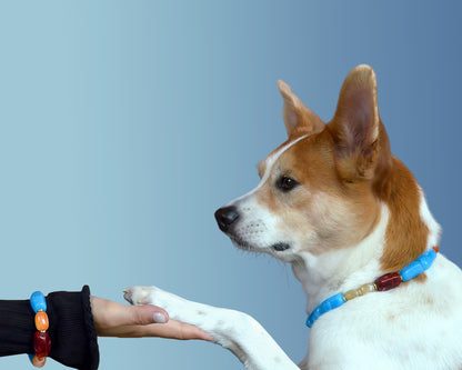 ✨Pet Jewelry –  Handcrafted Bold Beaded Necklaces - Candy Crush（Blue Aegean）