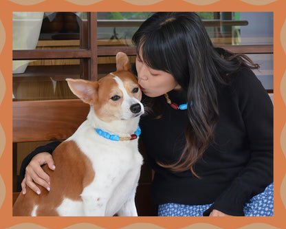 ✨반려동물 &amp; 주인을 위한 매칭 쥬얼리 세트 – 수제 대담한 비즈 목걸이 - 캔디 크러쉬(블루 에게안)