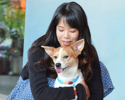 ✨Matching Pet & Owner Jewelry Sets –  Handcrafted Bold Beaded Necklaces - Candy Crush（Blue Aegean）