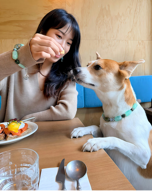 ✨Matching Pet & Owner Jewelry Sets –  Handcrafted Bold Beaded Necklaces - Candy Crush（Mint Green）