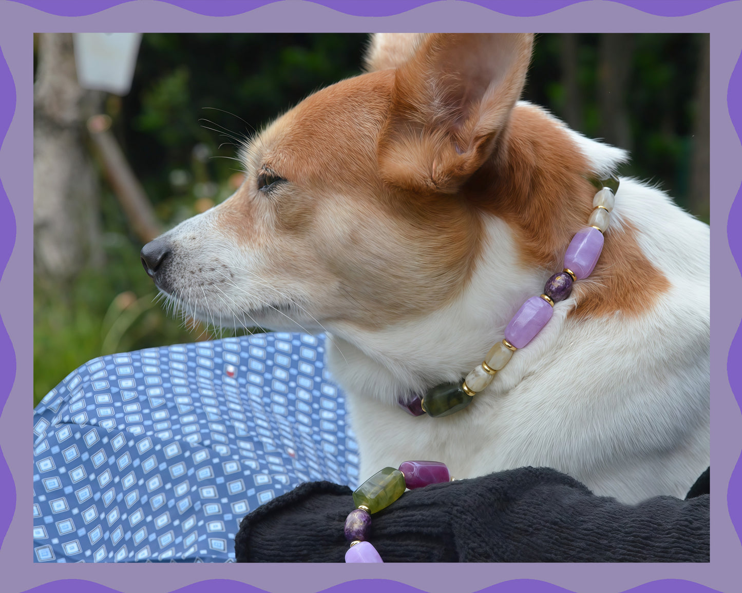 ✨Pet Jewelry –  Handcrafted Bold Beaded Necklaces - Candy Crush（Velvet Purple）