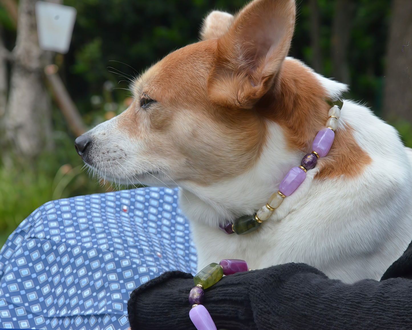 ✨Pet Jewelry –  Handcrafted Bold Beaded Necklaces - Candy Crush（Velvet Purple）