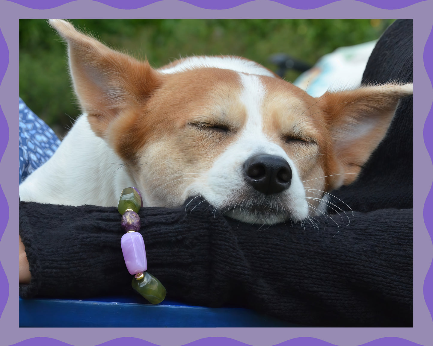 ✨Pet Jewelry –  Handcrafted Bold Beaded Necklaces - Candy Crush（Velvet Purple）