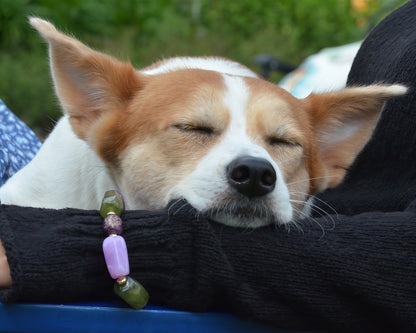 ✨Pet Jewelry –  Handcrafted Bold Beaded Necklaces - Candy Crush（Velvet Purple）