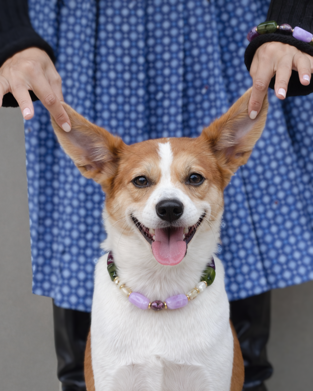 ✨Pet Jewelry –  Handcrafted Bold Beaded Necklaces - Candy Crush（Velvet Purple）