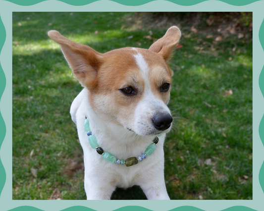 ✨ Candy Crush（Mint Green）: Matching Human & Pet Jewelry Sets ✨ Handcrafted Bold Beaded Necklaces • Bracelets • Earrings • Phone Chains | Porcelain Accents | Pet-Friendly • Stylish • Unique