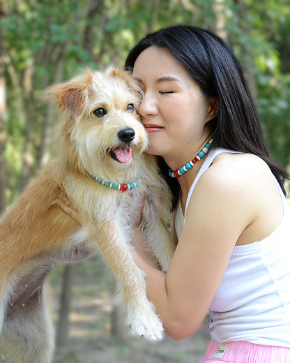 ✨Matching Pet & Owner Jewelry Sets – Handmade Colorful Beaded Necklaces - Color Splash (Lollipop)