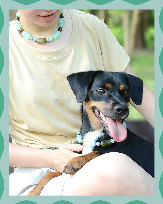 ✨Pet Jewelry –  Handcrafted Bold Beaded Necklaces - Candy Crush（Mint Green）