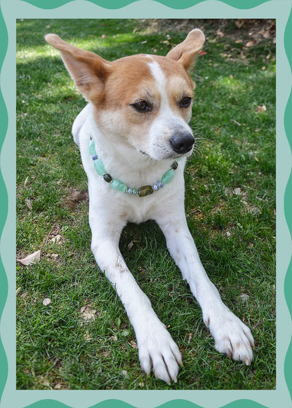 ✨Matching Pet & Owner Jewelry Sets –  Handcrafted Bold Beaded Necklaces - Candy Crush（Mint Green）