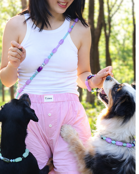 ✨Matching Pet & Owner Jewelry Sets –  Handcrafted Bold Beaded Necklaces - Candy Crush（Violet Haze）