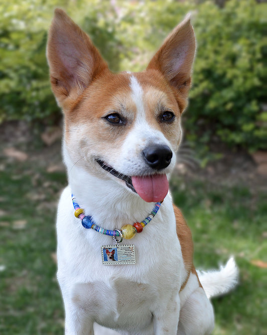 ✨Matching Pet & Owner Jewelry Sets – Handcrafted Vibrant Cord Necklaces – Cord Craze (Blue)