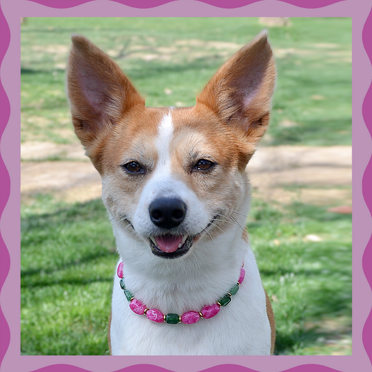 ✨ Candy Crush（Blossom Pink）: Matching Human & Pet Jewelry Sets ✨ Handcrafted Bold Beaded Necklaces • Bracelets • Earrings • Phone Chains | Pet-Friendly • Stylish • Unique