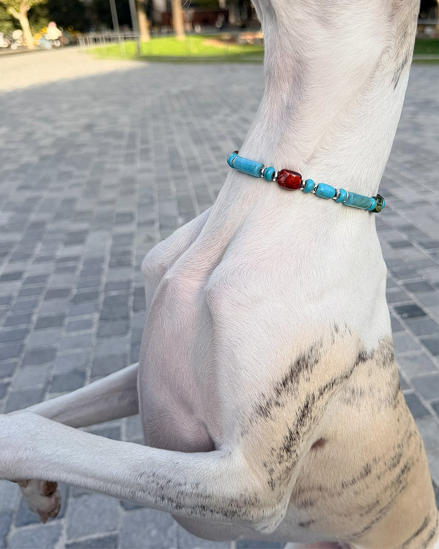 ✨Matching Pet & Owner Jewelry Sets – Handmade with Turquoise Colored Beads Necklace – Cute by Nature (Nomad Sky）