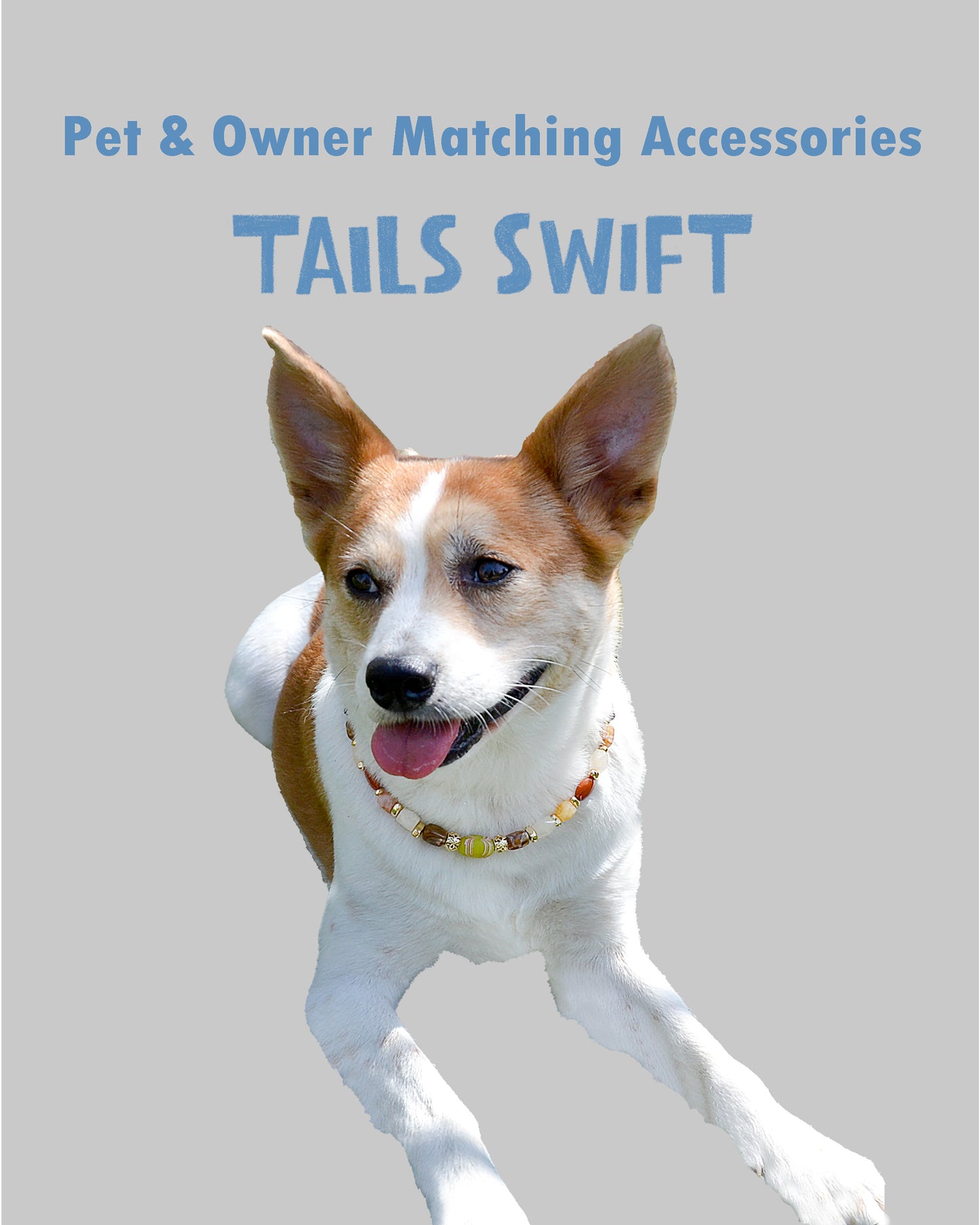 ✨Matching Pet & Owner Jewelry Sets – Handmade with Southeast Asian Beads & Organic Coconut Discs Necklace– Cute by Nature (Sepia Drop)