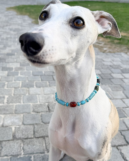 ✨Matching Pet & Owner Jewelry Sets – Handmade with Turquoise Colored Beads Necklace – Cute by Nature (Nomad Sky）