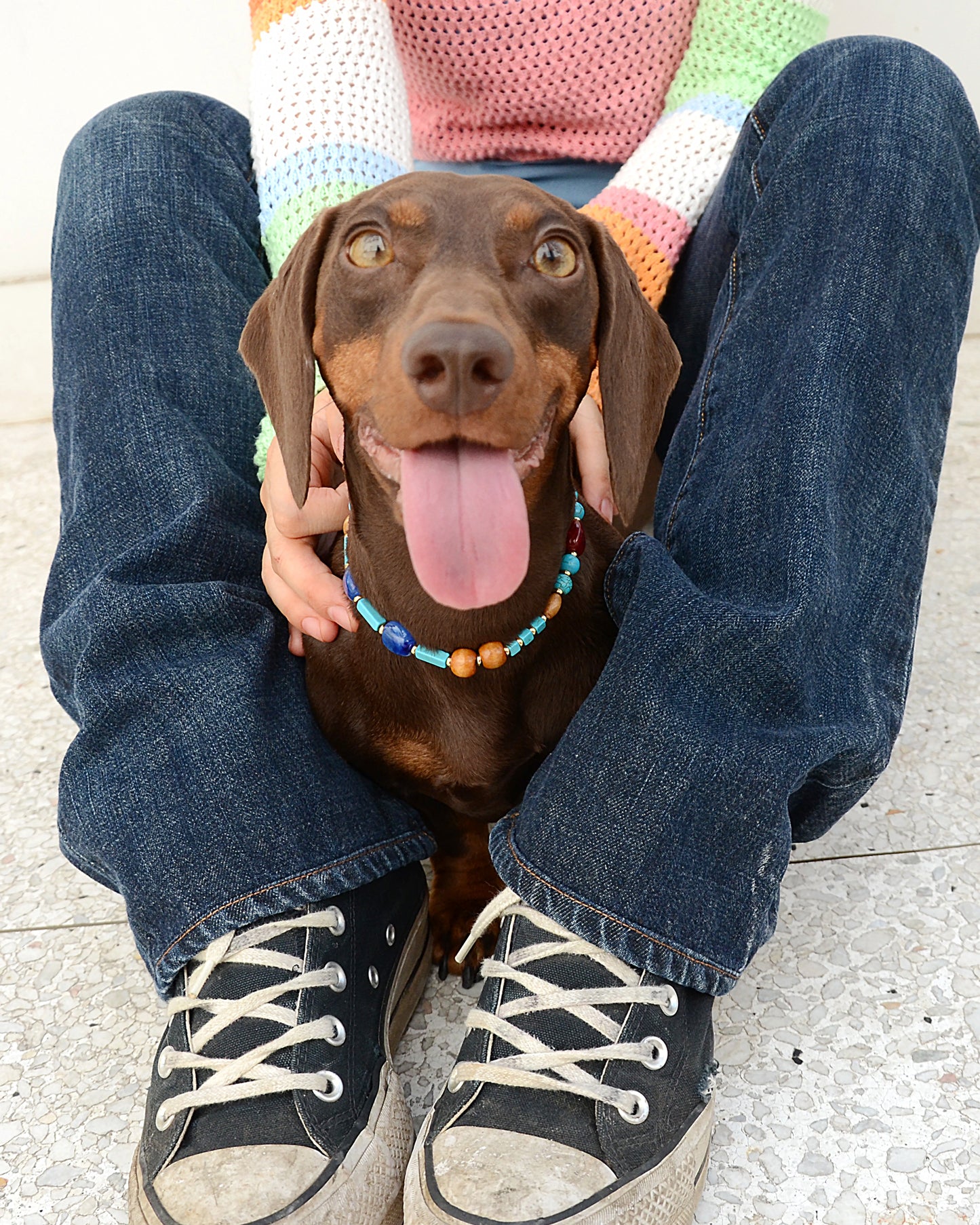 ✨Matching Pet & Owner Jewelry Sets – Handmade with Turquoise Colored Beads Necklace – Cute by Nature (Lake Blue)