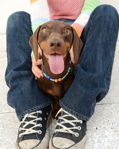 ✨Matching Pet & Owner Jewelry Sets – Handmade with Turquoise Colored Beads Necklace – Cute by Nature (Lake Blue)