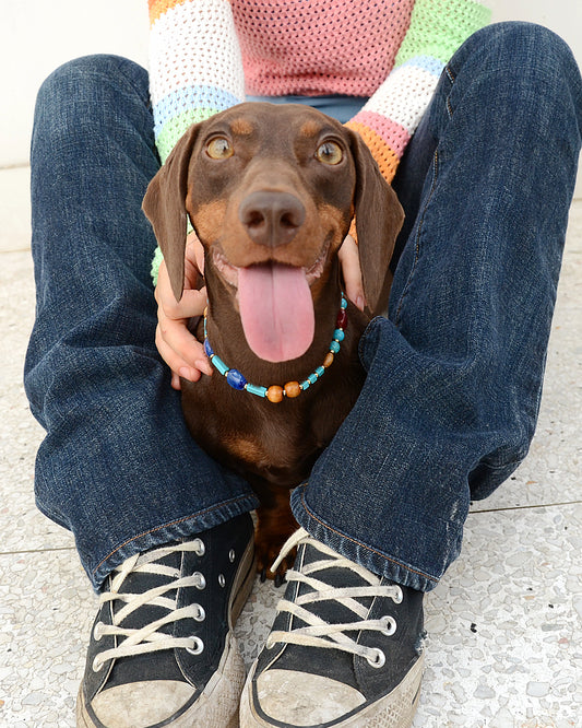 ✨Matching Pet & Owner Jewelry Sets – Handmade with Turquoise Colored Beads Necklace – Cute by Nature (Lake Blue)