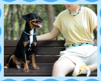 ✨Matching Pet & Owner Jewelry Sets – Handmade with Turquoise Colored Beads – Cute by Nature (Nomad Sky）