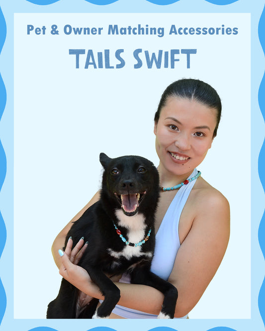 ✨Matching Pet & Owner Jewelry Sets – Handmade with Turquoise Colored Beads – Cute by Nature (Nomad Sky）